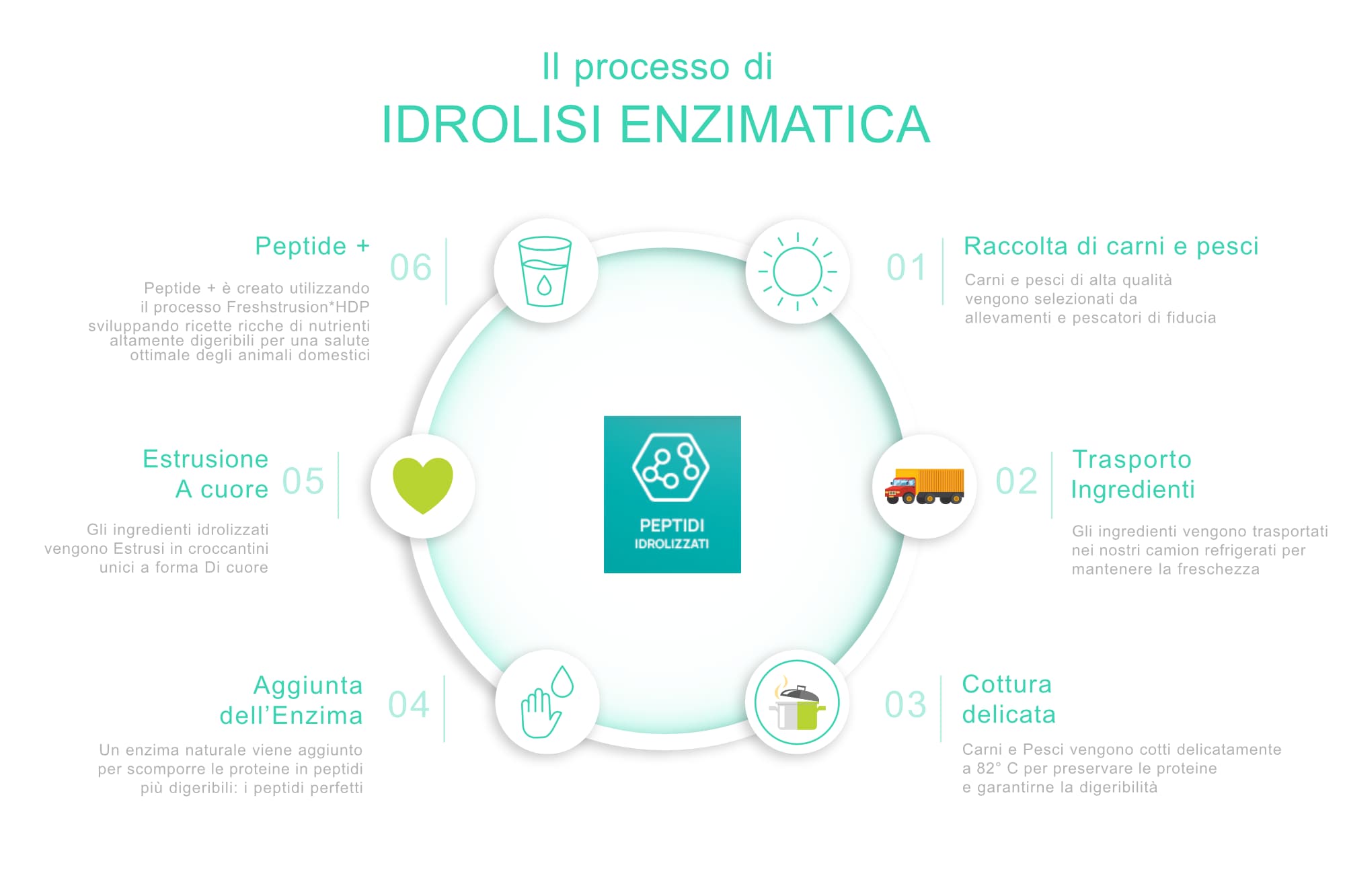 processo idrolisi figurativo resized